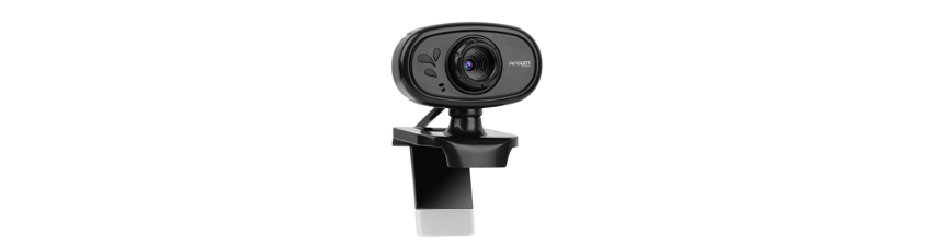 Camara Web